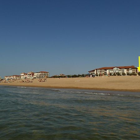 La Dune D'Or - Vue Mer, Studio Face A La Plage Avec Terrasse Soorts-Hossegor Bagian luar foto